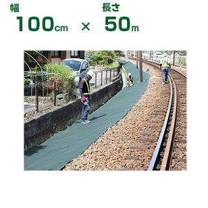 @l hV[g 1m 򐻖 hV[g Ή}`tFg Ver.5  100cm X 50m O[ ϗp10Nx `K ϊђʐ 2w\