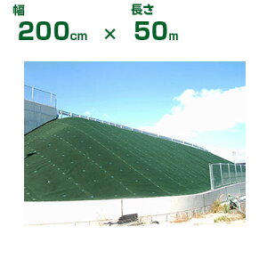 @l hV[g 2m 򐻖 hV[g Ή}`tFg Ver.600  200cm X 50m O[ 4mm ϗp10Nx R G[Wh~