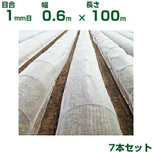 ylzOKz{ChNX hlbg hTTlbg EX2000 ڍ1mm 0.6m×100m ڍ1mm 90% 7{ (_Ɨp |p ƒ؉ K[fjO _Ǝ h lbg gl