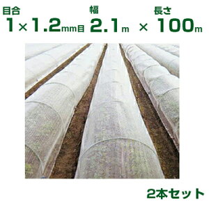 ylzOKz{ChNX hlbg TTlbg  GB515 ڍ1×1.2mm 2.1m×100m 55`60% 2{ (_Ɨp |p ƒ؉ K[fjO _Ǝ h lbg gl 