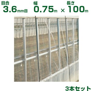 ylzOKz{ChNX hlbg TT͂lbg HM3388 ڍ3.6mm 0.75m×100m 95% 3{ (_Ɨp |p _Ǝ h lbg  rj[nEX  Ԗ }