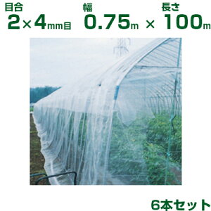 ylzOKz{ChNX hlbg hTTlbg N3800 ڍ2×4mm 0.75m×100m 95% 6{ (_Ɨp |p ƒ؉ K[fjO _Ǝ h lbg gl 