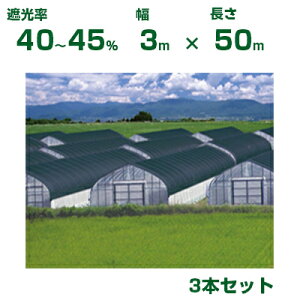 ylzOKz{ChNX Ռlbg ChXN[ S1206 Vo[ Ռ40`45% 3m×50m 3{ (_Ɨp A   c | ՔM gl ֎q lQ lM nEX 悯 ݂傤 