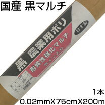 楽天市場】黒マルチ 75cmの通販