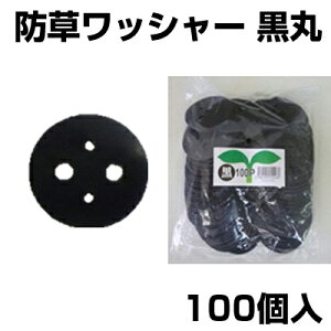 VZC  100 UsYp bV[ hV[g lH }`V[g  isʔj