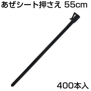 VZC V[g 10{ 55cm X 40 (400{) A[V[g A[gV[g g lV[g 