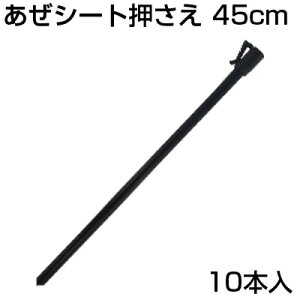 VZC V[g 10{ 45cm A[V[g A[gV[g g lV[g 