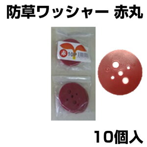 VZC Ԋ 10 UsYp bV[ hV[g lH }`V[g  isʔj bh