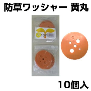 VZC  10 UsYp bV[ hV[g lH }`V[g  isʔj CG[