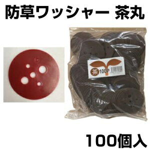 VZC  100 UsYp bV[ hV[g lH }`V[g  isʔj