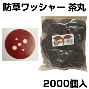 VZC  100 X 20 (2000) UsYp bV[ hV[g lH }`V[g  isʔj