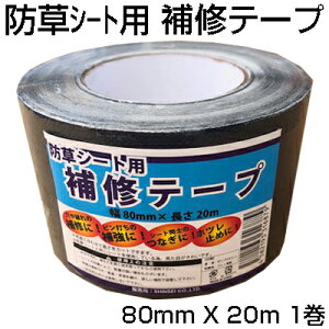 hV[g e[v VZC hV[gp ͕Ce[v  80mm X 20m ⋭ Ȃ zc~ ubN {