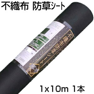 VZC sDz hV[g   1m X 10m ubN _Ǝ ؉ G