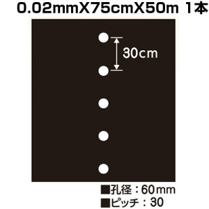 VZC z[}` }` 7130 0.02mm X 75cm X 50m }` 1 _ ƒ؉ }`V[g WKC 卪 Lxc ^X