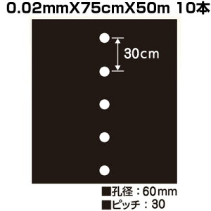 VZC z[}` }` 7130 0.02mm X 75cm X 50m 10{ }` 1 _ ƒ؉ }`V[g WKC 卪 Lxc ^X