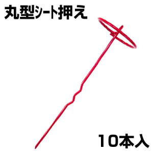 V[g VZC ی^V[g () 10{ g^ _Ǝ Œs Y }` sDz hV[g s