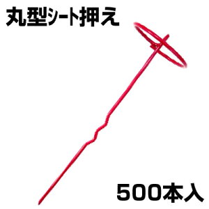 VZC ی^V[g () 10{ g^ X 50 (500{) _Ǝ Œs V[g Y }` sDz hV[g s