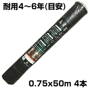 lzOK hV[g 75cm VZC 悯V[g ubN 0.75m X 50m 4{ 135g /m2 ϗpN4`6N YUV4 Rۍܓ   dC K\[[ zd