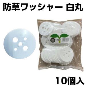 VZC  10 UsYp bV[ hV[g lH }`V[g  isʔj