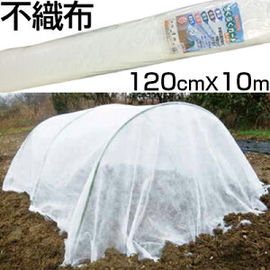 lzOK VZC _Ɨp sDz 120cm X 10m [ 1.2m h h h ۉ _Ǝ | gl ׂ 󎚂Ȃ   bsO
