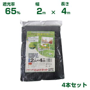 VZC t`ht 悯lbg Ռ65 2m×4m 4 (Ռlbg _Ɨp x_ A   Ԓd v^[ A  c EbhfbL  | ՔM TVF[h ֎q lQ lM 