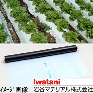 J C^j ؉p o[X}` 0.02mm X 135cm X 50m n} ƒ؉ ď͔̍|