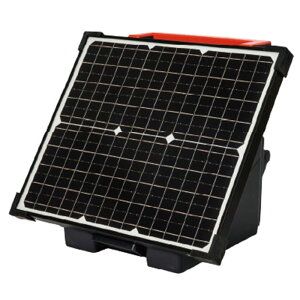 ̃AO dq S2000 ZT[ 28W\[[ obe[