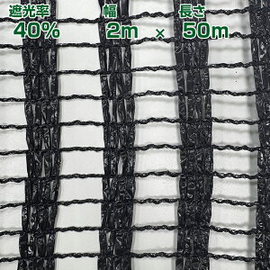 ]ҐDH Ռlbg CGlbg  ՌlbgS^CvS1320 2×50mՌ40%