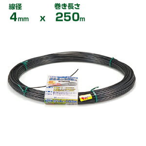 ϐ ZLXC GNZ #8 a4.0mm 250m 1 