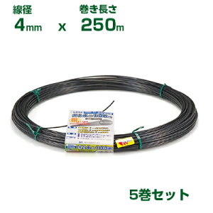 ϐ ZLXC GNZ #8 a4.0mm 250m 5 