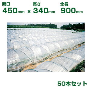 ϐ ZLXC _Ɨp glx 8 3^ Ԍ450 340 S900 50{ O[