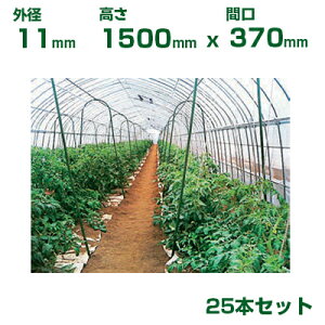 ϐ ZLXC _Ɨp ؉A[`x 11 X 1500mm (Ԍ370) 25{ O[