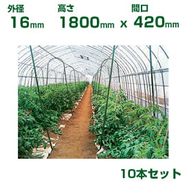 積水 セキスイ 農業用 菜園アーチ支柱 φ16 X 1800mm (間口420) 10本 グリーン