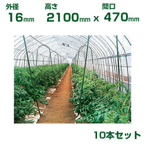 ϐ ZLXC _Ɨp ؉A[`x 16 X 2100mm (Ԍ470) 10{ O[