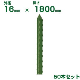 積水 セキスイ 農業用支柱 イボ竹 グリーン φ16 X 1800mm 50本