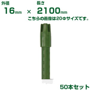 ϐ ZLXC _Ɨpx C{| O[ 16 X 2100mm 50{ \Lbvt