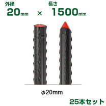 楽天市場】イボ竹 ストロングの通販