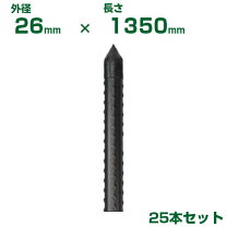 楽天市場】イボ竹 ストロングの通販