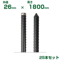 楽天市場】イボ竹 ストロングの通販