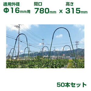 ϐ ZLXC C{|p A[`pCv 16p 50{  lbg͔|p