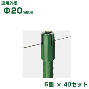 �ϐ� �Z�L�X�C �C�{�|�p �n���L���b�v L ��20�p 6���p�b�N x40 �O���[��