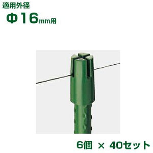 �ϐ� �Z�L�X�C �C�{�|�p �n���L���b�v M ��16�p 6���p�b�N x40 �O���[��