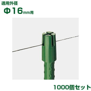 ϐ ZLXC C{|p nLbv M 16p 1000 O[