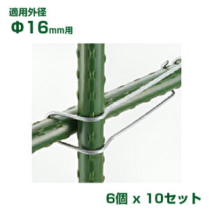 ϐ ZLXC C{|p ؉tbNoh 16p 6 x10 Vo[