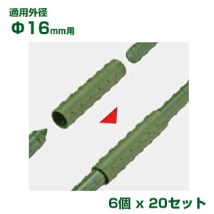 ϐ ZLXC C{|p p 16p 6 x20 O[