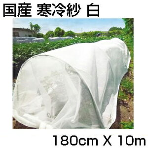 ����� �� �V���Z�C ���Y 1.8m X 10m 1�� 180cm �_�Ǝ��� �ƒ�؉� �Ռ� �h�� �h�� �h�� �h�� �g���l�� �ׂ�����