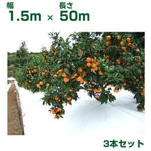 JY _ƗpF˃V[g TSAbvV[g [ W1.5m X L50m 3{ zCg