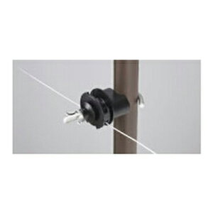 dq dC KCV EKCV 50 Qb^[pCp yt\xaF21`26mmz Vq  d