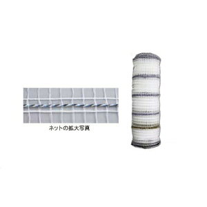 dq dC lbg lbg y70cm X 50mzyzinNrV ACO} AiO} k[gAj d Qb^[R[h d4{