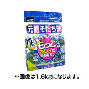 Ԃ yɍĎg{엿 삻BB 320g x 30Zbg ɐGĂSȏIB엿 4Ԃƌ